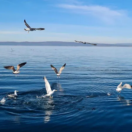 Klara Apartment Novi Vinodolski